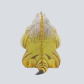 リザーアイズアクリル画 イグアナ Amazon | 動物惑星 トカゲ グリーンイグアナ ブルーイグアナ